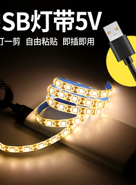 5v5050led灯带usb接口移动电源充电宝软灯条带开关电池盒防水灯带