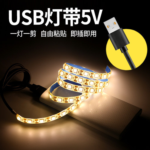 usb移动电源带开关防水led软灯条