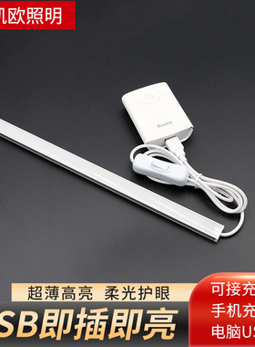 usb接口灯条led5v灯带充电宝长条灯管移动电源宿舍床头阅读护眼灯