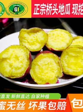 海南桥头富硒地瓜当季自家种植现挖沙地板栗红薯原产地新鲜番薯