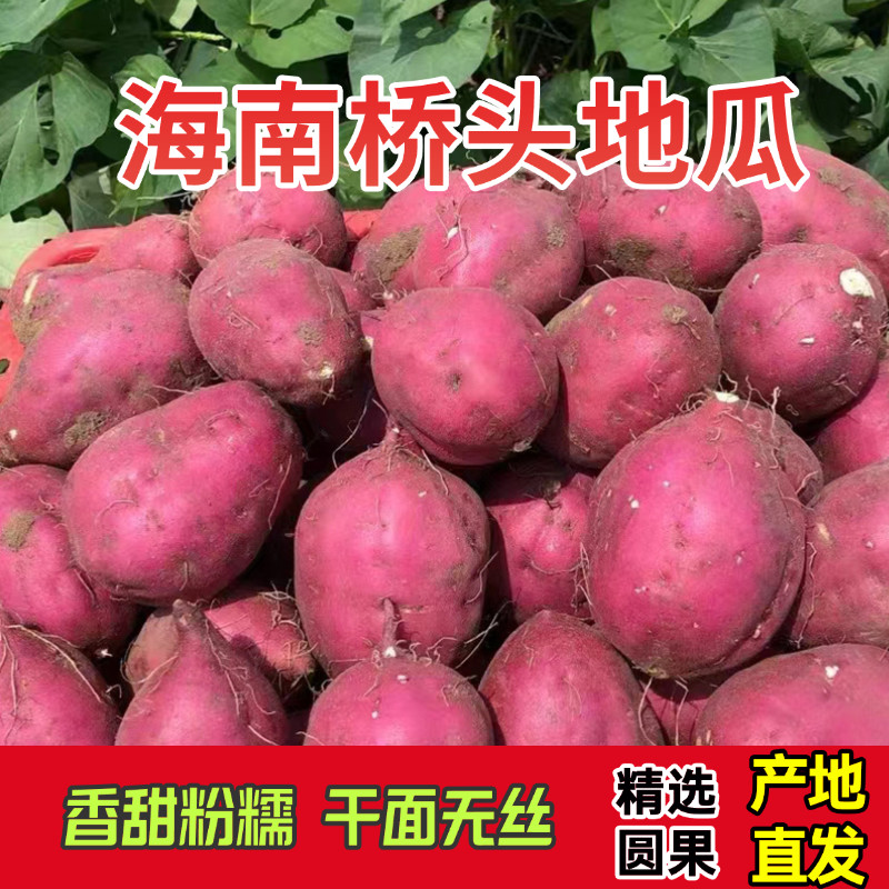 海南桥头富硒地瓜自家种植原产地当季现挖新鲜沙地板栗红薯