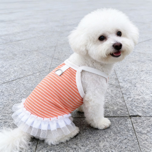 宠物春夏薄款网面蕾丝裙子狗狗猫咪衣服吊带降温凉比熊衣服饰防晒