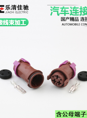813972927国产813972928雾灯插头圆形连接器DJ70310-6.3-11/21
