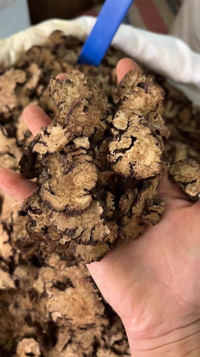 永小康药材 川穹 川芎