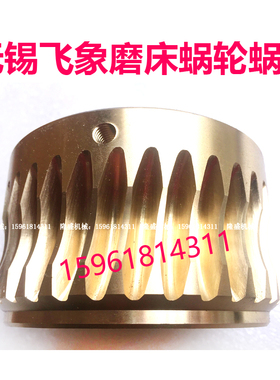 无锡飞象机床M10100蜗轮蜗杆 飞象精密机床无心磨床配件