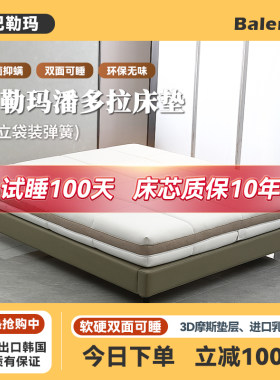 巴勒玛软硬适中双面可睡床垫