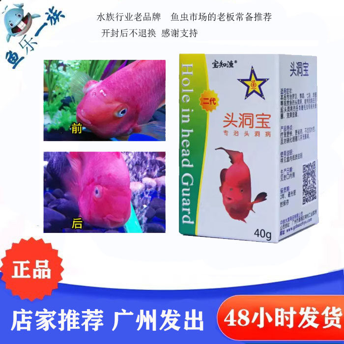 宝知渔 头洞宝 罗汉七彩地图鹦鹉头洞 专治头洞 鞭毛虫 细菌