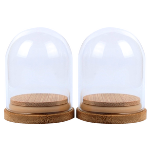 文玩核桃玻璃罩摆件物体收藏密封罩直播间展示架台看货展览收纳盒