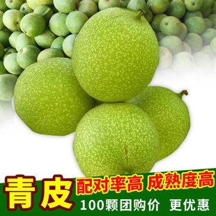 核桃文玩青皮四座楼狮子头麒麟纹核桃男开果大官帽青果盘玩手把件