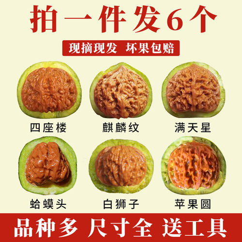 青皮蛤蟆头文玩核桃三棱四座楼狮子头磨盘宫灯苹果盘玩手把件官帽