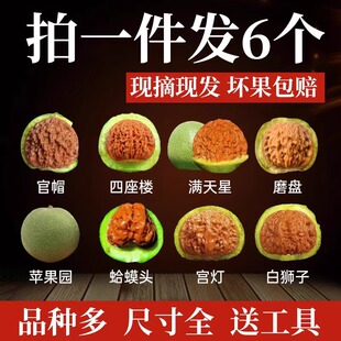 青皮蛤蟆头文玩核桃四座楼白狮子头满天星磨盘宫灯苹果园盘玩官帽