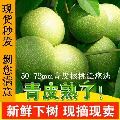 赌青皮文玩麻核桃大尺寸老树果四座楼闷尖白狮子头王勇麒麟纹官帽