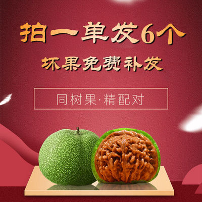 赌青皮文玩核桃大尺寸老树带皮