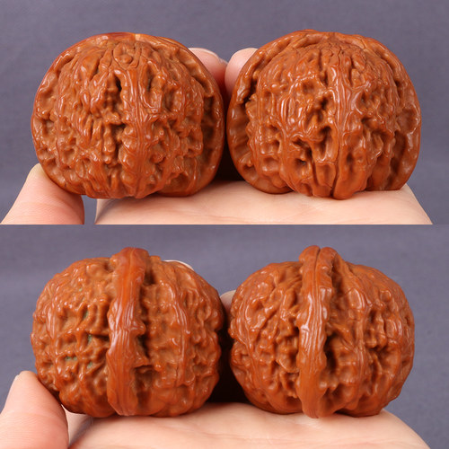 白狮子手玩苹果园粗筋老核桃闷尖