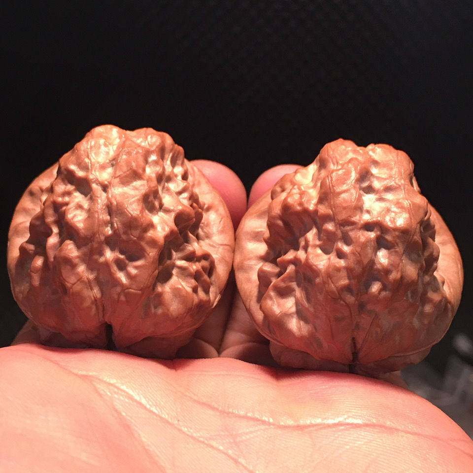 文玩核桃云铁赤脚金蟾蛤蟆头手把件男士手玩核桃精品古玩手盘核桃