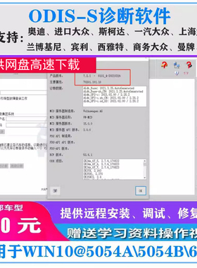 ODIS25大众奥迪专检软件在线编程刷隐藏安装测试修复服务