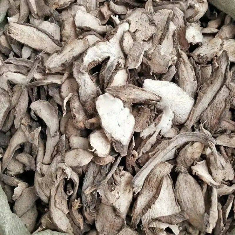 新鲜野生 入地老鼠钻地老鼠干片 白古首花头 紫茉莉根新鲜中药材