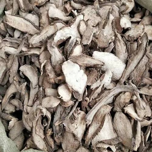 新鲜野生 入地老鼠钻地老鼠干片 白古首花头 紫茉莉根新鲜中药材
