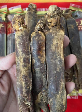 【送西洋参片】别直参6年根长白山人参高丽参单支40g50g60g红参