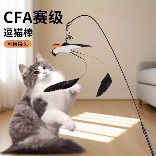 猫咪玩具逗猫棒头替换小燕子带铃铛羽毛逗猫神器解闷小猫玩具互动