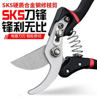 锰钢剪树剪子果树剪粗枝树枝修剪刀进口SK5原装家用花卉园艺剪刀