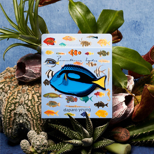 daparo海鱼磁吸冰箱贴珐琅蓝吊多莉高级精致礼物送人儿童春节家居