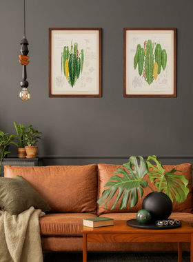 daparo植物装饰画手绘水彩家居软装热植博物复制画微喷田园欧美