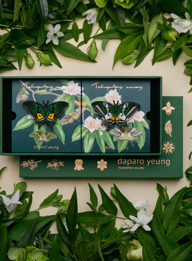 daparo金斑喙凤蝶蝴蝶胸针高档女男精致春季节日礼物自然系徽章