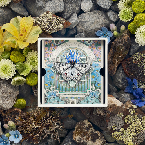 达普罗绢蝶紫堇复胸针高级感