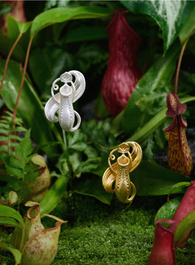 daparo奇异猪笼草胸针情侣高档原创复古生日礼物女男毛衣链胸花