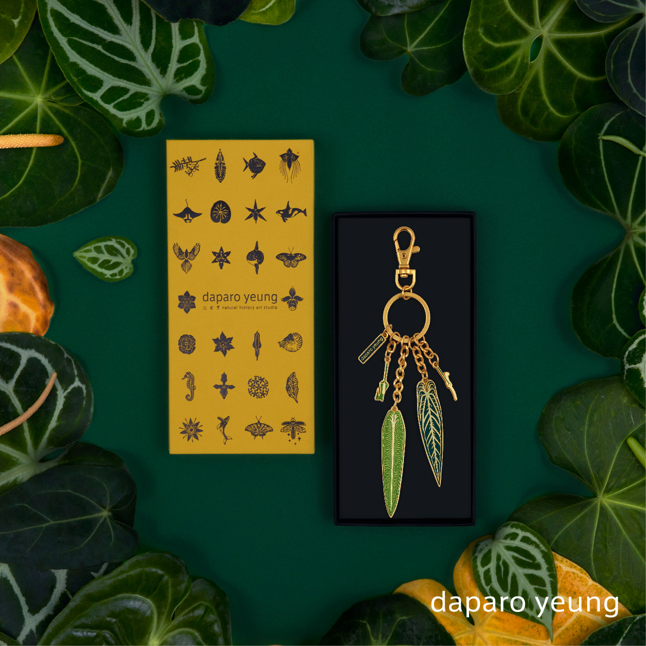 自然博物，原创设计，小众好物