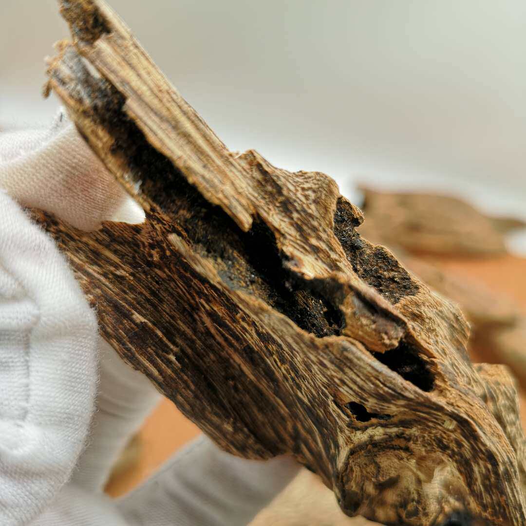 半黑油海南沉香虫漏 天然沉香虫眼蚁漏木料熏香料保真原材摆件