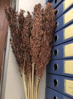包邮干花包花束家居摆设松果棉花小麦高粱莲蓬装饰插花花瓶摆件