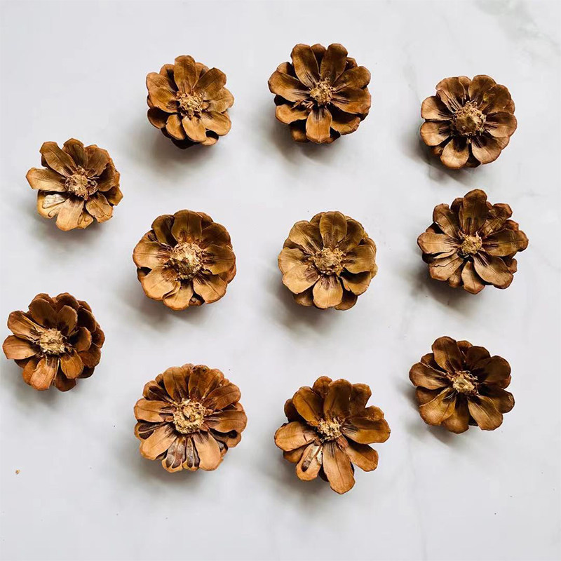 天然已剪好去头松果幼儿园圣诞节礼物DIY手工创意制作材料干花包