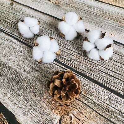 天然棉花干花森系摆设玻璃透明花瓶北欧网红ins永生花手工diy材料