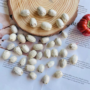 五眼果diy材料手作配件天然野果子植物拍摄背景道具装 饰森系花环