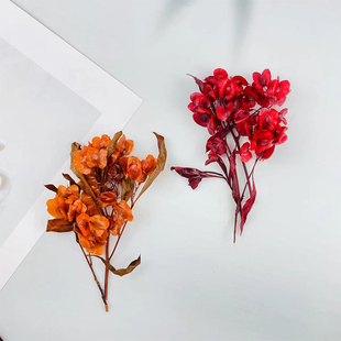 永生蝴蝶花迎客豆手工diy干花材料包配花相框玻璃罩钥匙扣配材