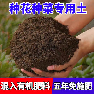 planting fruit soil sterilization kil Vegetable insect and