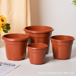 红色圆形塑料花盆草莓盆多肉塑料花盆简约型基地塑料花盆
