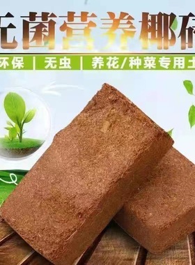 Aseptic coconut coir brick, coconut soil, balcony, vegetabl