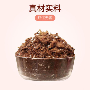 planting hydrangea iron Rose peat soil lotus rose