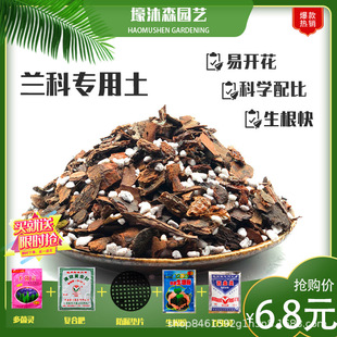 butterfly soil gentleman ink soi Flower breathable specific