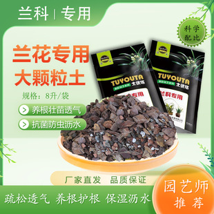 Soil Particle Butterfly Gentleman Flower Potted Universal