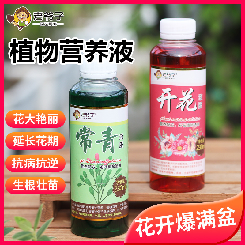 Old man plant nutrient solution, household liquid fertilize