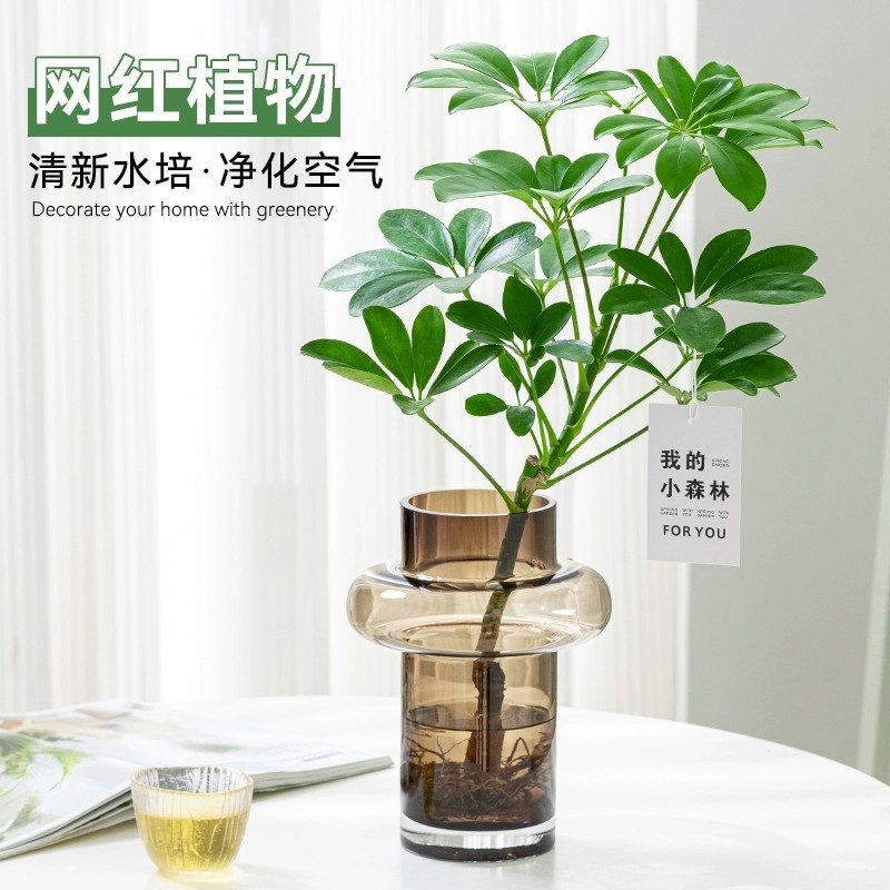 Duck footed wood water raises eight directions to finance o