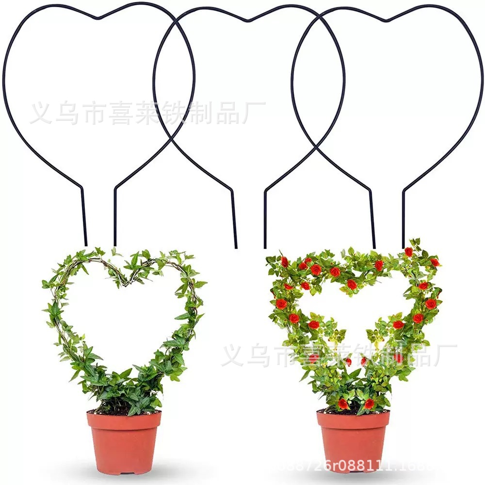 心形山乌龟甲龙铁线莲花架爬藤架子攀藤绿植物支架支撑杆铁艺