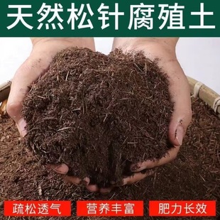 needles flower humus nutrient cultivation soil Pine