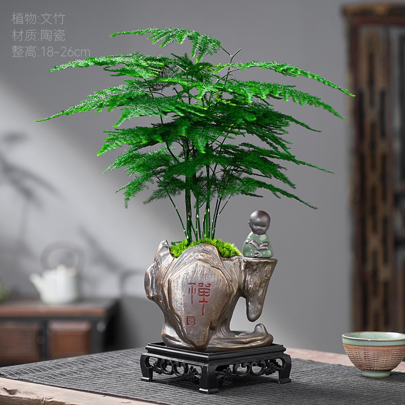 Chinese Zen style bamboo potted plants, green plants, good