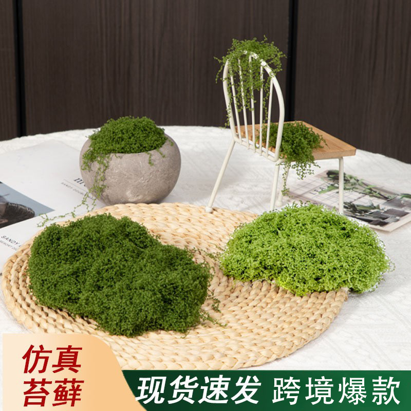 亚马逊TEMU逼真自然人造仿真苔藓绿植户外苔藓微景观环保造景