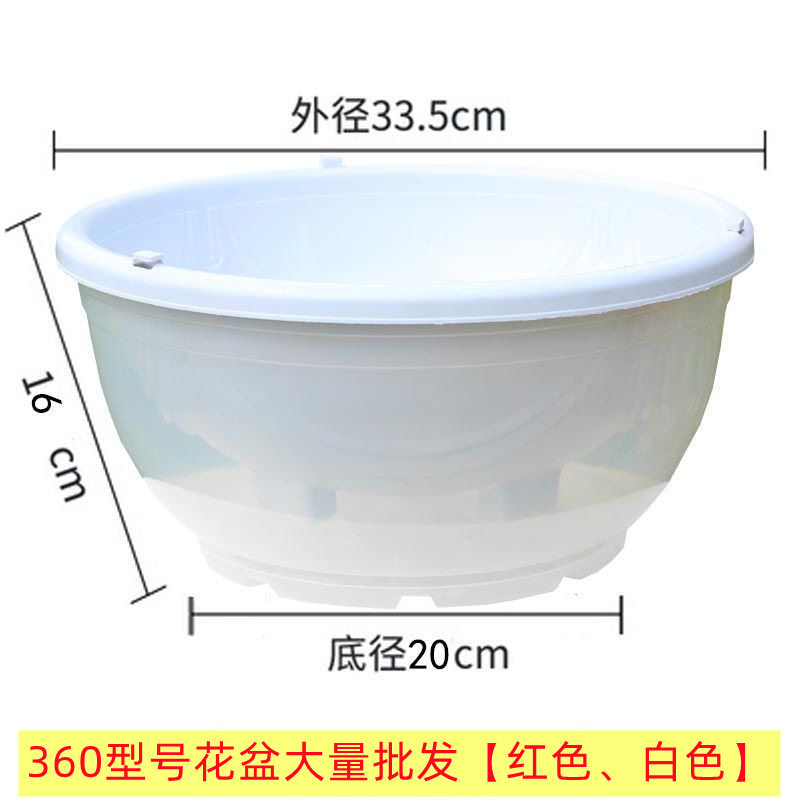 绿萝塑料花盆接水盆吊盆自吸水超大花盆专用套盆阳台种菜大花盆
